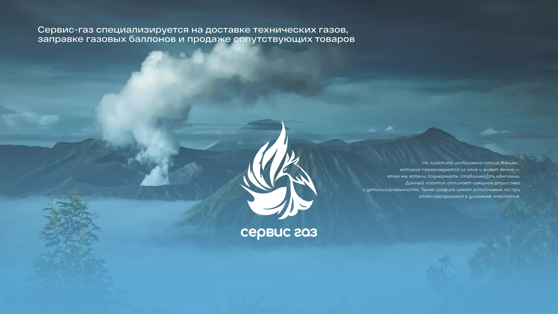 Создание сайта компании «Сервис газ» в Электроуглях