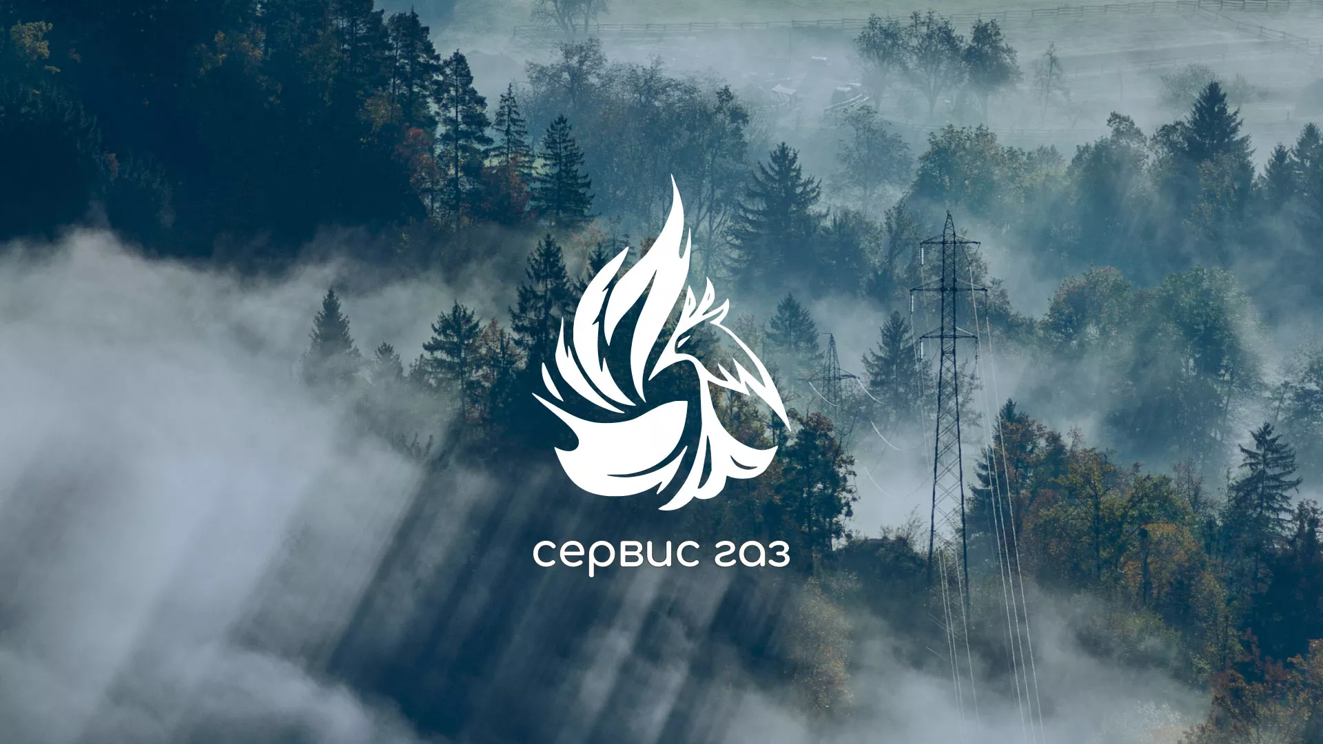 Создание сайта компании «Сервис газ» в Электроуглях